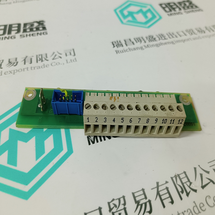 57310001-KN(圖2)