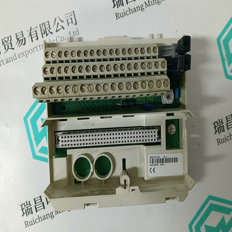 3BSE013175R1