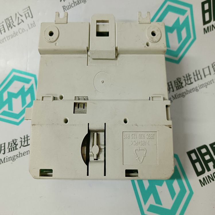 3BSE013175R1(圖1)