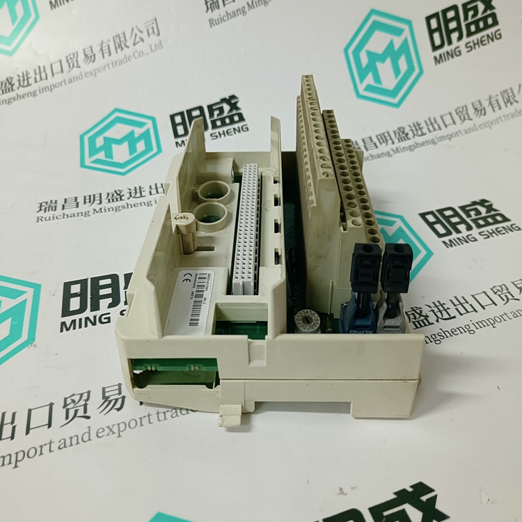 3BSE013175R1(圖3)