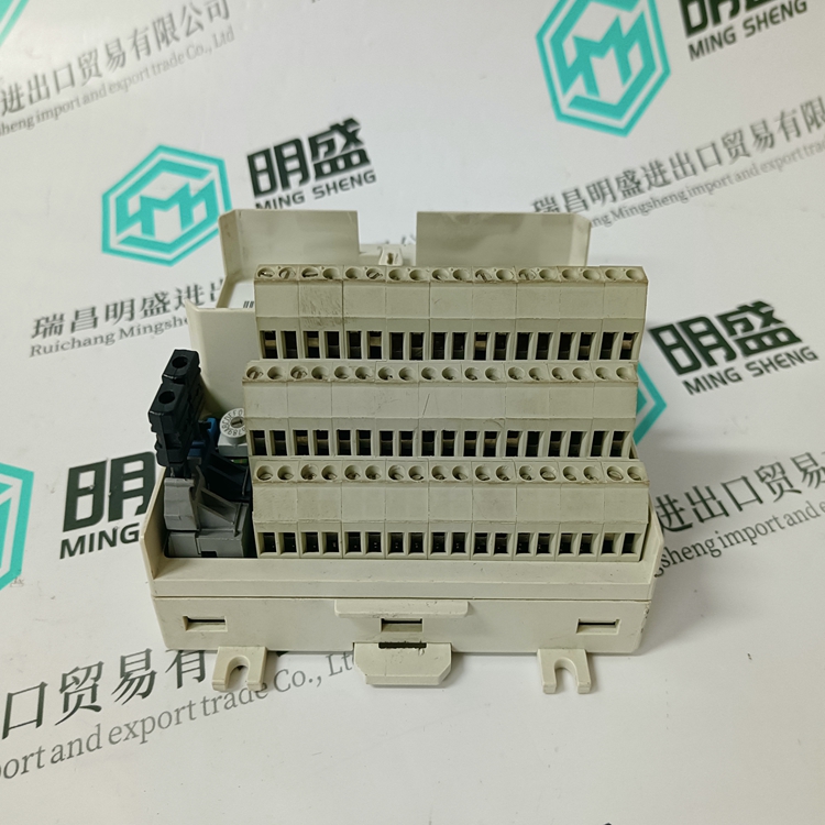 3BSE013175R1(圖2)