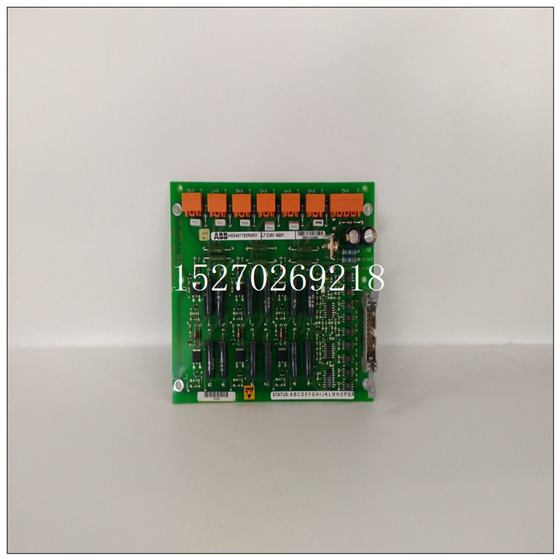 HIEE410507P201