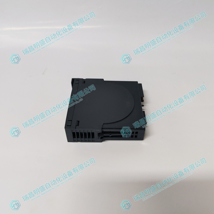 METSO  D201134   模數(shù)轉換器